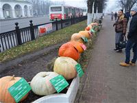 Кострома сегодня