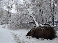 Кострома сегодня