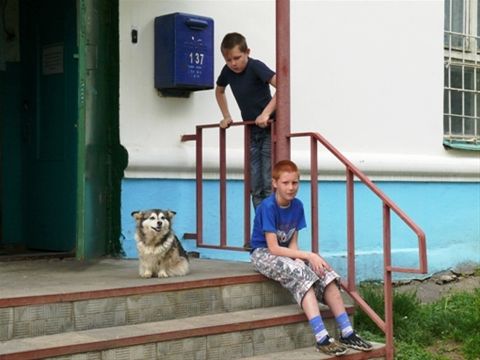 Каникулы